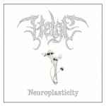 HELGE - Neuroplasticity DIGI